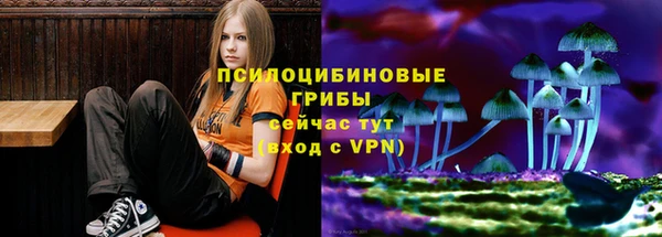 эйфоретик Бронницы