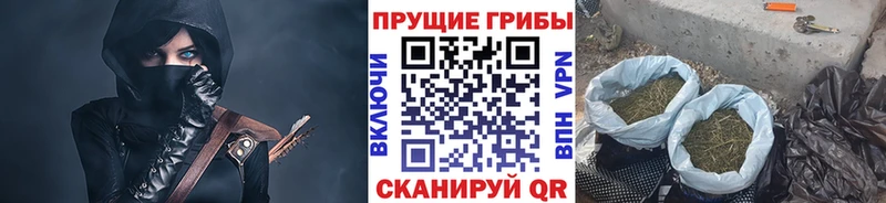 Псилоцибиновые грибы ЛСД Выборг
