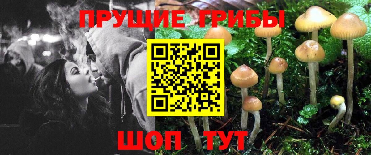Галлюциногенные грибы MAGIC MUSHROOMS  Псилоцибиновые грибы MAGIC MUSHROOMS  Вход с VPN  Выборг 
