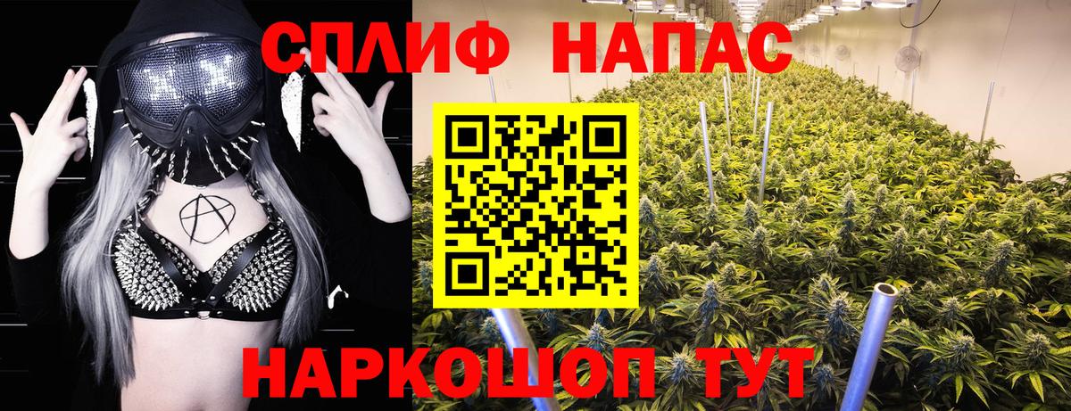 Конопля MAZAR  Вход с VPN  МАРИХУАНА семена  Выборг 